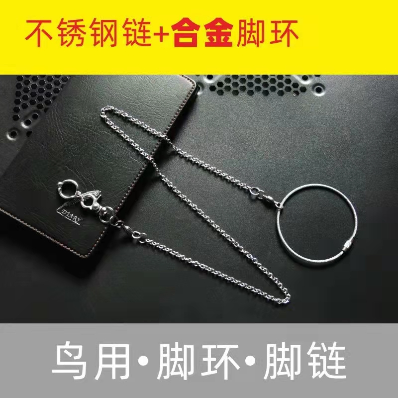 鹦鹉脚环玄风八哥脚链不伤脚放飞绳链虎皮八哥牡丹不锈钢遛鸟神器