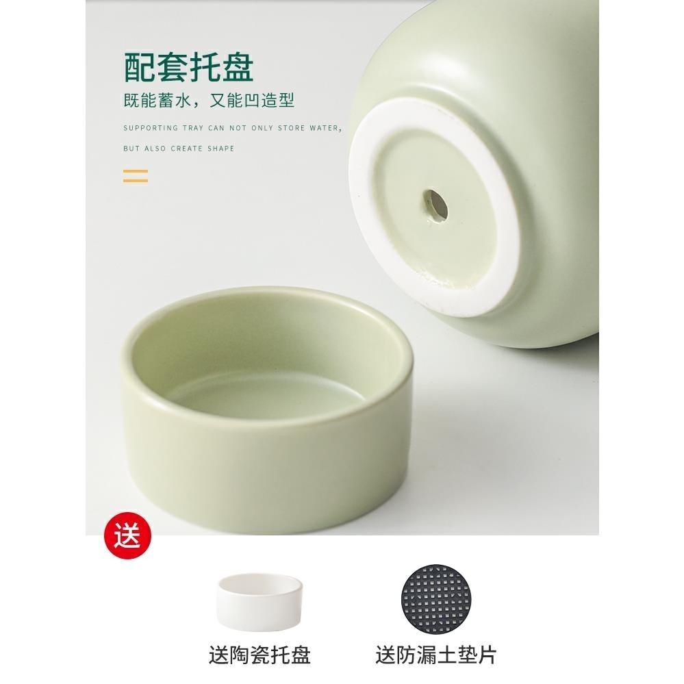 北欧简约花盆陶瓷带托盘高款兰花花盆小ins创意白色蝴蝶兰专用盆