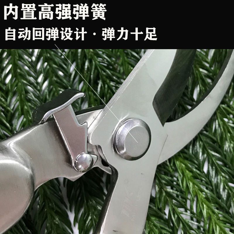 sk5全钢修枝剪不锈钢剪枝修剪树枝果树盆景花卉园艺摘果专用剪刀