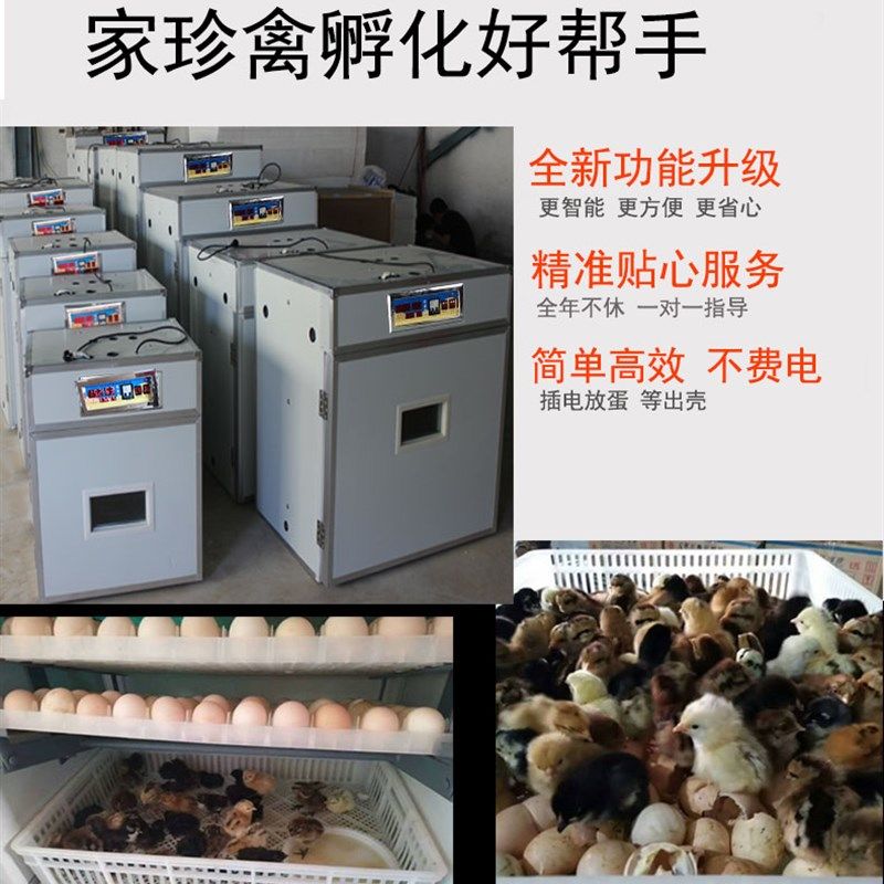 保温箱鸡用智能鸟类孵化器付小鸡的机器家用生产小鸡的机器卵蛋器,五金/工具,电热工具,淘宝优惠券,粉丝福利购,淘宝优惠卷