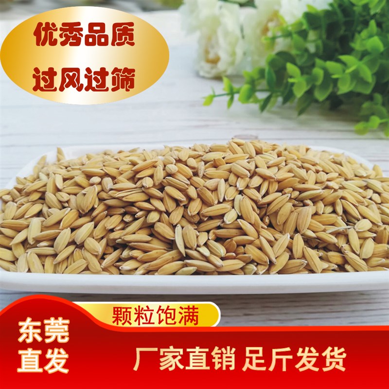 带壳稻谷饲料10斤喂鸡鸭鹅鸽子鸟食圈养禽类新原粮宠物10KG包邮