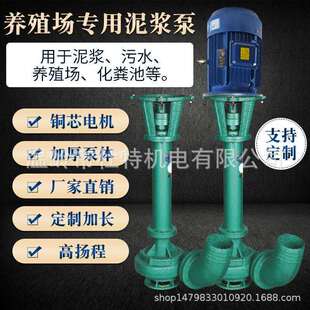 泥浆污水泵家用抽粪机立式淤泥切割铰刀液下泵养殖场用NL泥浆泵
