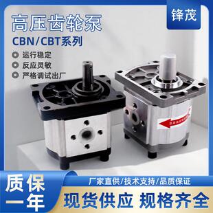 液压齿轮泵油泵总成CBN-F310/314/316/20/25小型高压油泵大全泵头