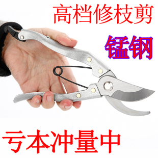 树枝剪刀枝剪修剪花艺园艺剪葡萄家用火龙果专用果树工具 修枝剪