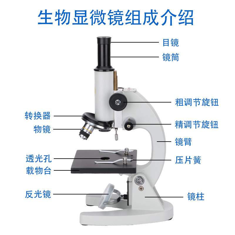 专业学生光学显微镜XSP-02/06儿童学习实验仪器高倍高清显微镜显