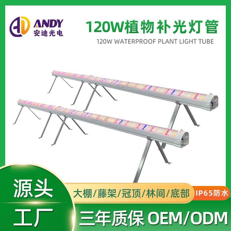 植物补光灯管120W西红柿黄瓜葡萄草莓蔬菜大棚藤架种植育苗生长灯