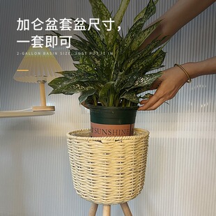 圩派架红阳箩架子网藤编置物架花架阳台萝客厅花盆绿落地绿绿绿摆