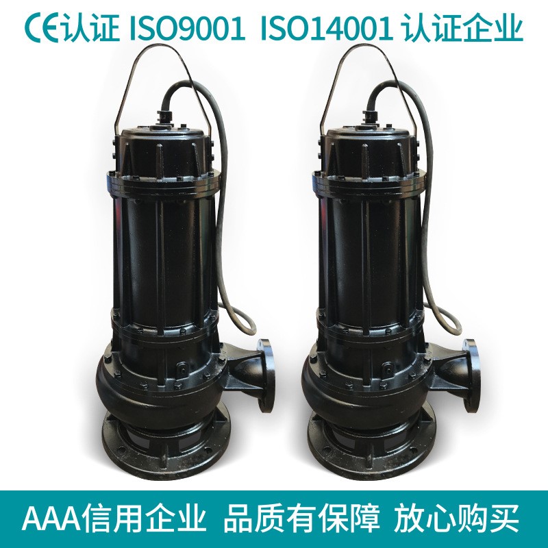 厂家热销 WQ型无堵塞潜水排污泵 无堵塞固定式污水污物泵