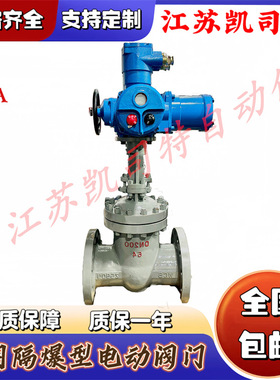 凯司特MKZ941H-40C DN250煤矿用闸阀 矿用隔爆型电动闸阀金属密封