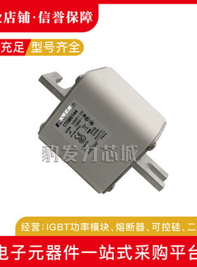 170M6080/6081/6082/6083/6084/6085/6086/6087全新熔断器