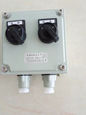 防爆照明双控旋钮开关防水