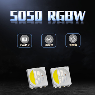 贴片led5050四合一灯珠5054rgbw 0.2W七彩红绿蓝白led贴片发光管