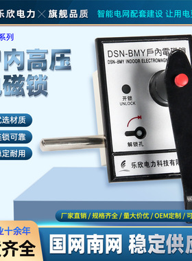 乐欣 户内高压电磁锁DSN-BMY DSN-BMZ反向手柄式高压柜锁交直流