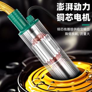 电动抽油泵潜水泵农用灌溉水泵小型抽水泵 拓森家用12V插电款