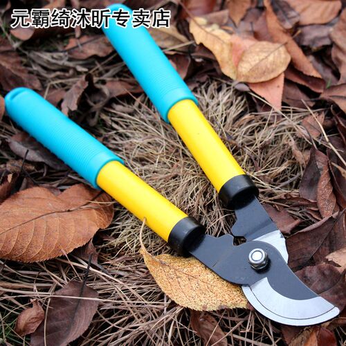 好货New Fruit tree pruning shears gardening ef适用于t scisso