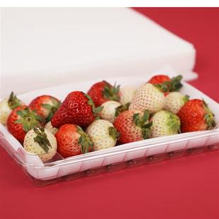 防震珍珠棉垫包装水果晴王葡萄草莓海绵垫内托打包填充物高密度厚