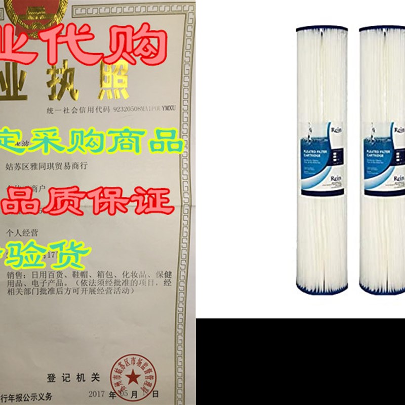 IPW Industries Inc Pack of 2 - Whole House 20 x 4.5 Big