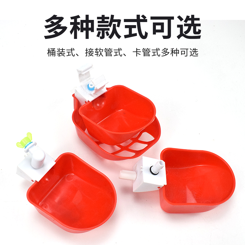 鸡禽鸭鹅自动饮水碗散养家禽大号自动饮水碗新款饮水器喂鸡喂鹅鸭