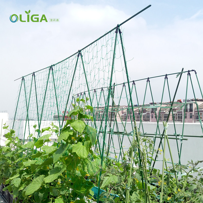 庭院种菜架子黄瓜架蔬菜爬藤架网豆角丝瓜葡萄攀爬支撑架户外阳台