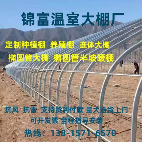 养殖大棚隔热保温鸡鹅猪牛养殖温室大棚椭圆管温室钢管骨架大棚