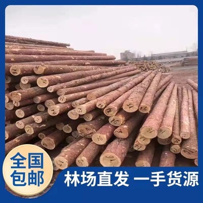 河道木桩打桩木工地河堤杉木桩护坡整治木桩原木打桩木