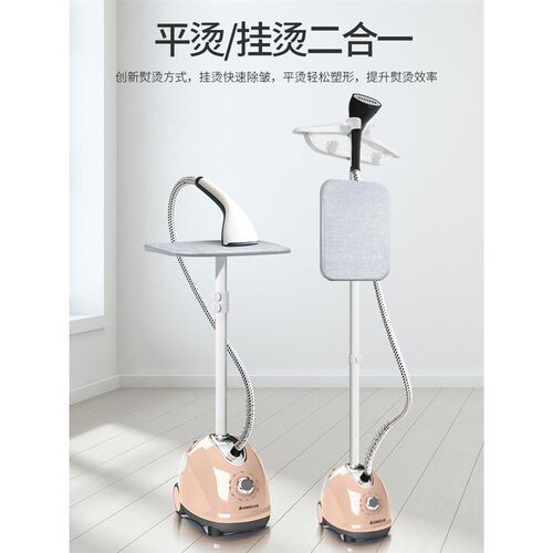 electrice compact iron steam soleplate clothes steamer 熨烫