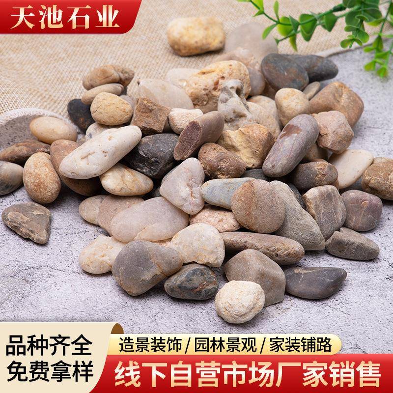 滤料地暖豆石过滤石滤料彩五小石石头滤料南京豆石暖地垫层用头