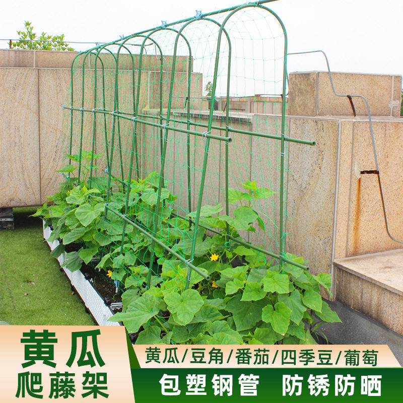 爬藤架园艺支架葡萄架黄瓜豆角拱攀爬形植物支架户外盆栽地插架子图片