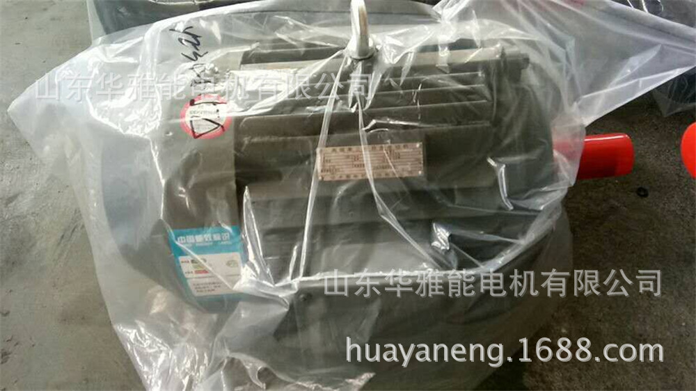 YX3-200L2-6-22电机转子IC411