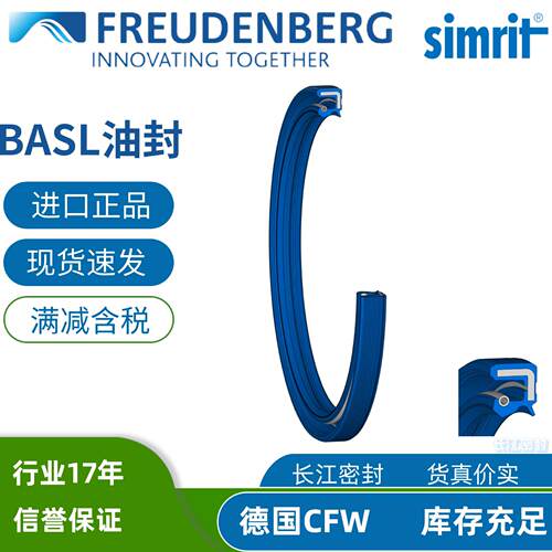 德国SIMRIT进口骨架油封