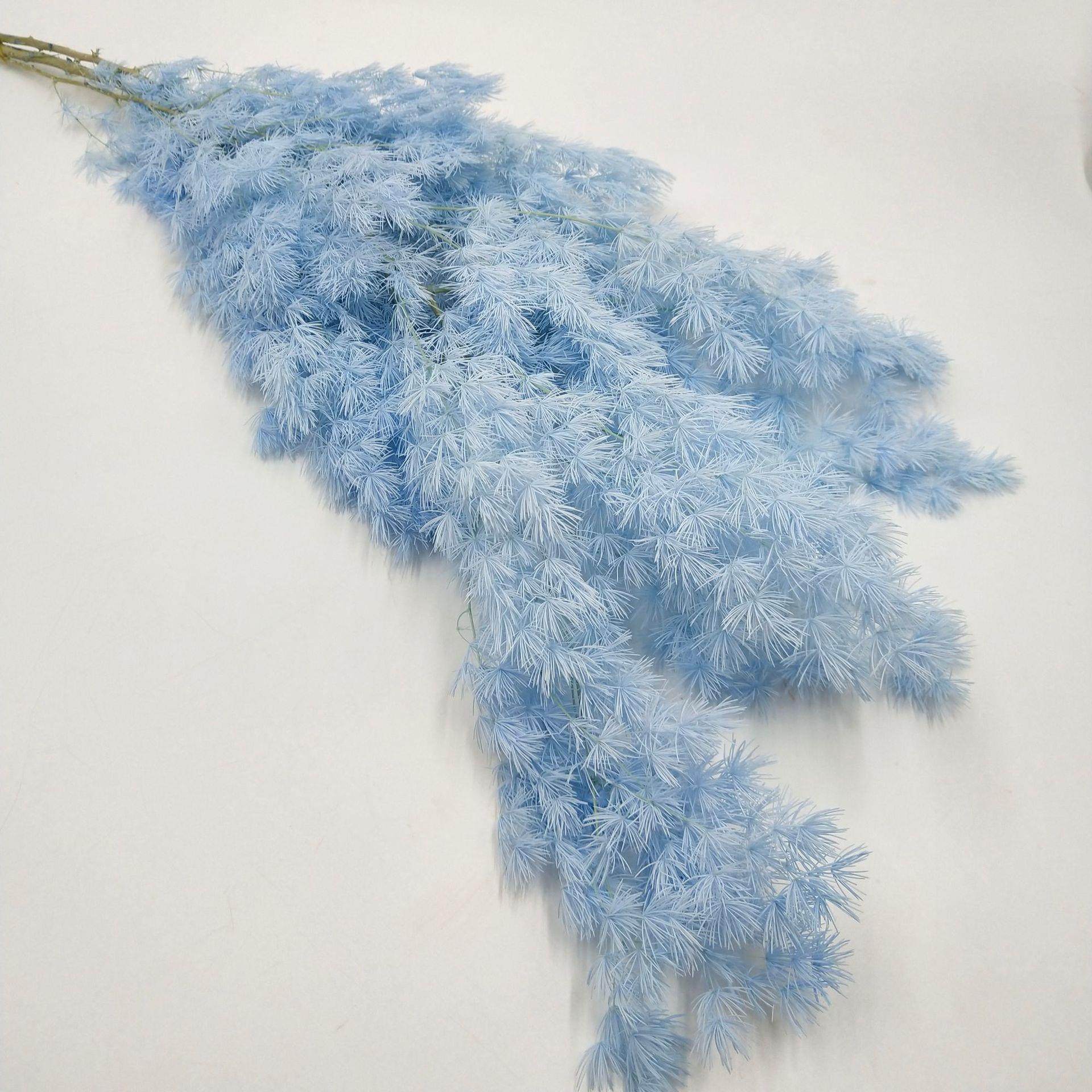 永生蓬莱松永生花保鲜花干花材料雪松浮游香薰材料礼盒玻璃罩diy,家居饰品,餐桌花艺,淘宝优惠券,粉丝福利购,淘宝优惠卷