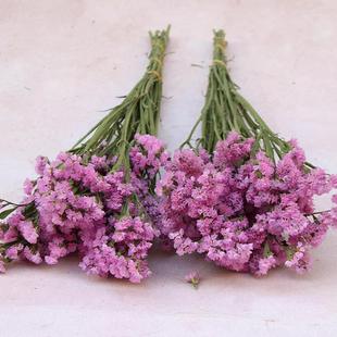 干花勿忘我称斤卖1kg勿忘我干花花材自然花装饰花厂家