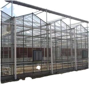 文洛型连栋玻璃温室农业蔬菜花卉大棚工程智能玻璃骨大棚配件