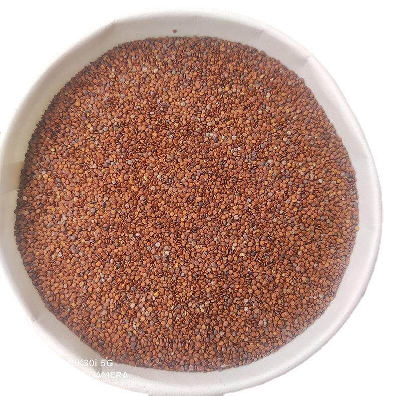 产地厂家电商1斤浆35-40斤冰粉冰粉籽石花籽凉粉籽50kg/件种子