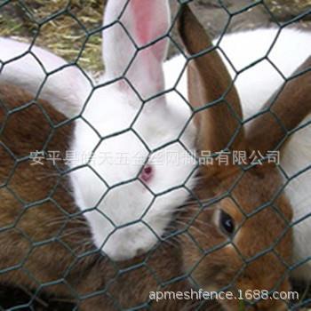 pvc六角网拧花网拧花网软边网鸡笼网养殖网建筑铁丝网抹墙