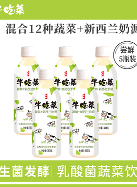 福建贝奇牛吃菜乳酸菌饮料380ml*5/15瓶整箱儿童早餐蔬菜酸奶饮品