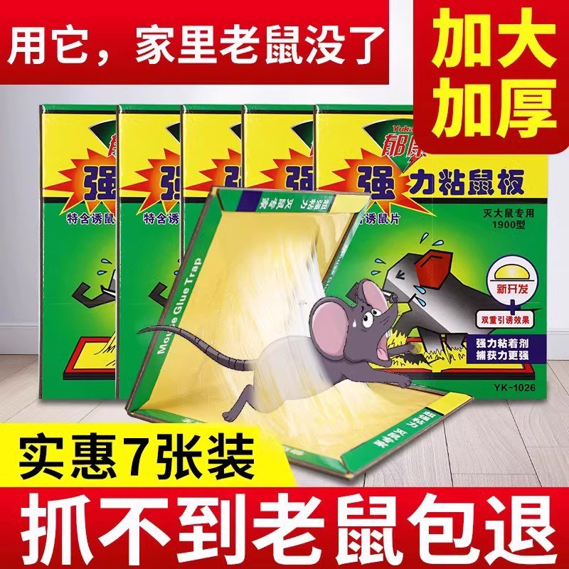 强力粘鼠板加大加厚老鼠贴厨房家用沾鼠黏胶大老鼠贴捕鼠神器非药