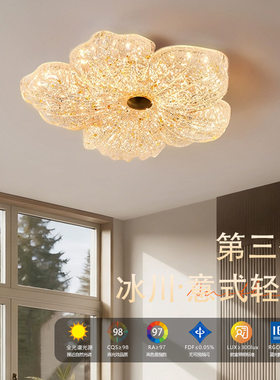 轻奢高级感可调色LED吸顶灯