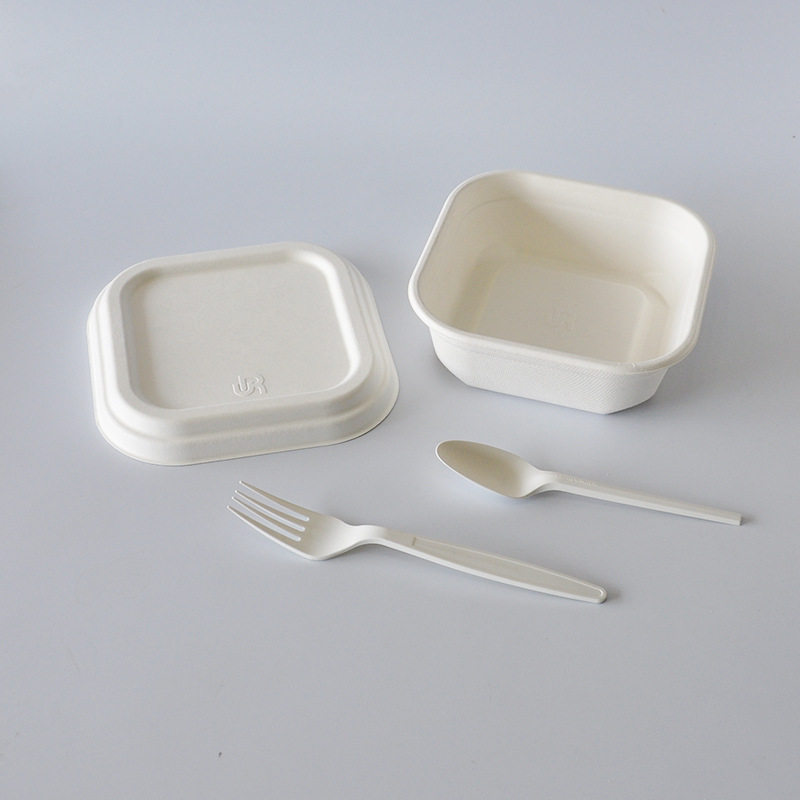 一次性餐具套装750ml甘蔗浆餐盒可降解外卖快餐打包便当饭盒