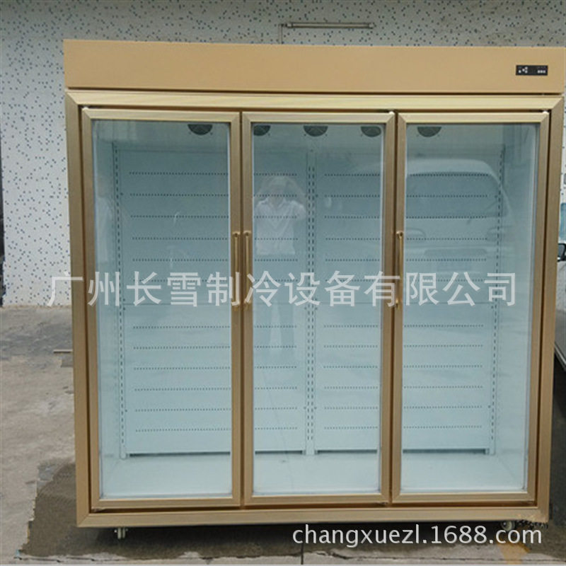 广州长雪3门冷藏拼装展示柜 拼装冷库 广东便利店冰柜