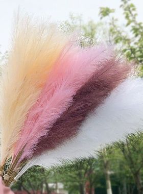 new1Pc Bulrush Artificial Pampas Grass Bouquet DIY Vase