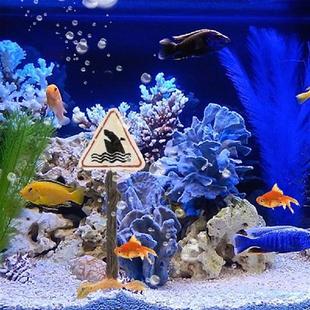 Decoration Artificial Aquarium Resin Landscaping Shark