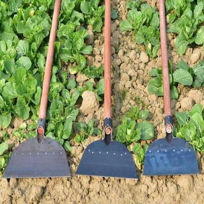 企桥园林农用鸡粪铲鸡屎铲猪粪铲养殖工具畜牧工具清粪铲刮粪包邮