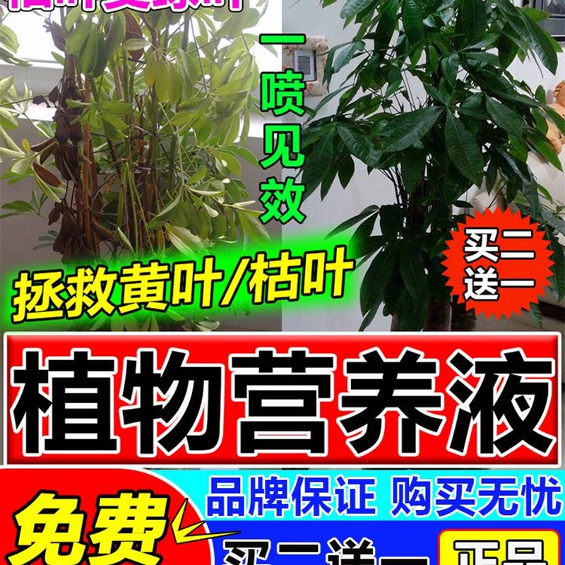 【急救】营养液植物通用型治黄叶枯叶烂根盆栽家用免稀释养花肥料