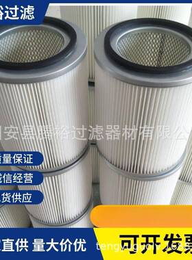 1厂NRA家现货芯直供P91结920椭圆阻燃滤筒除尘滤烧滤芯P191889