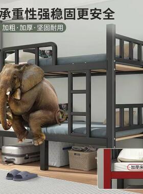 厚上下铺双层舍床加床铁员工宿上下床架子学校双人铁艺ZYG高低铁