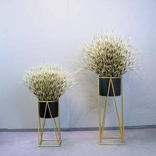 斑纹草仿生芦苇草肉小盆景商多室内装 头YC7060饰摆件品源厂家