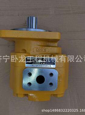 原厂山推L36-B3装载机齿轮泵JHP2032L011434-75-07000CBGJ