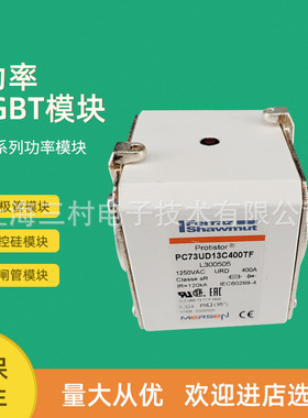 全新熔断器保险PC000GB69V100PVG210617 PC000GB69V125PV H210618