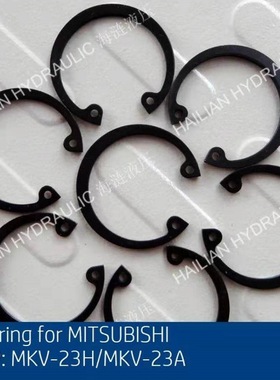 船用液压马达活塞环AMC/RMC/RMM/TMC/TMK Piston Ring